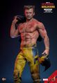 Figurine Hot Toys | Deadpool | Figurine 1/6 Wolwerine Jacket Version 31cm thumb 1